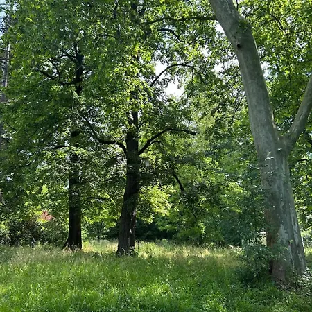 Chateau Belle Au Bois Dormant Cambounet-sur-le-Sor