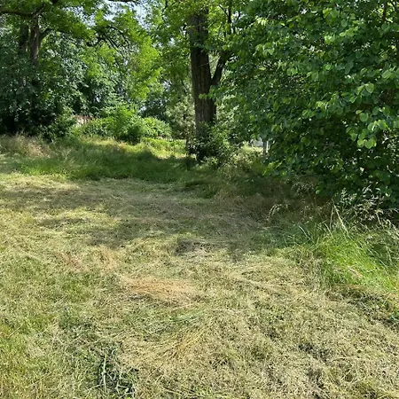 Chateau Belle Au Bois Dormant * Cambounet-sur-le-Sor
