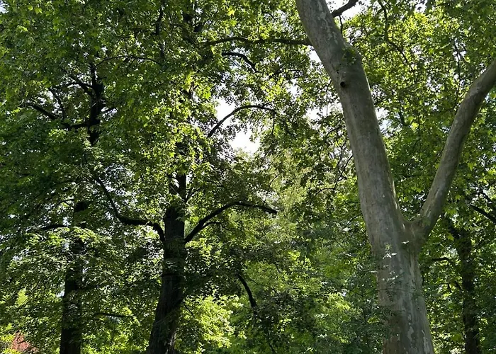 Chateau Belle Au Bois Dormant Cambounet-sur-le-Sor