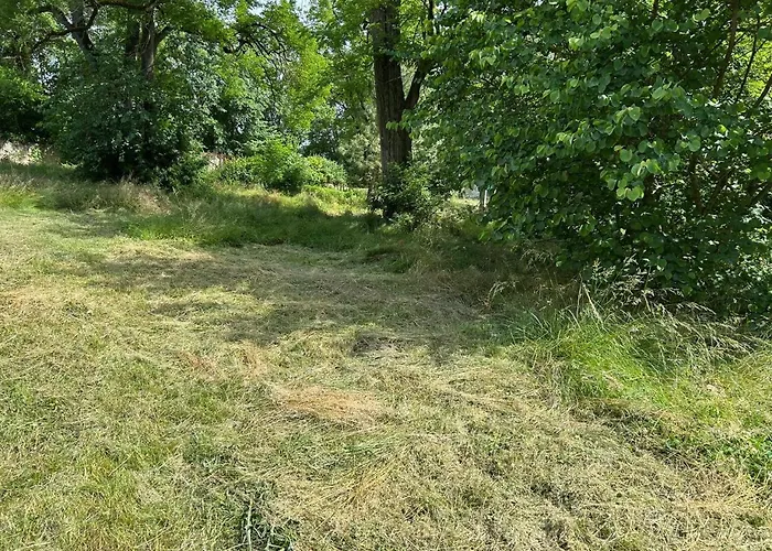 Chateau Belle Au Bois Dormant * Cambounet-sur-le-Sor